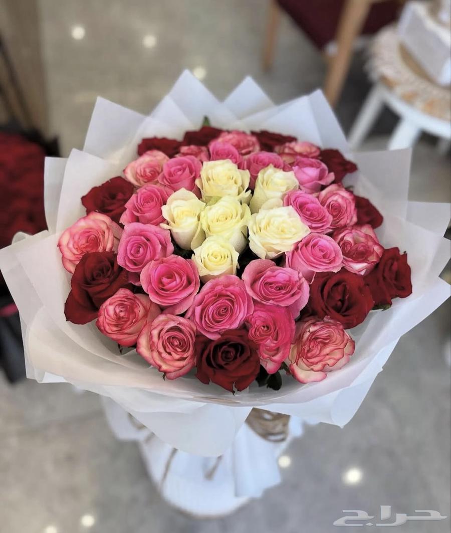 Gift representative63381461106178113