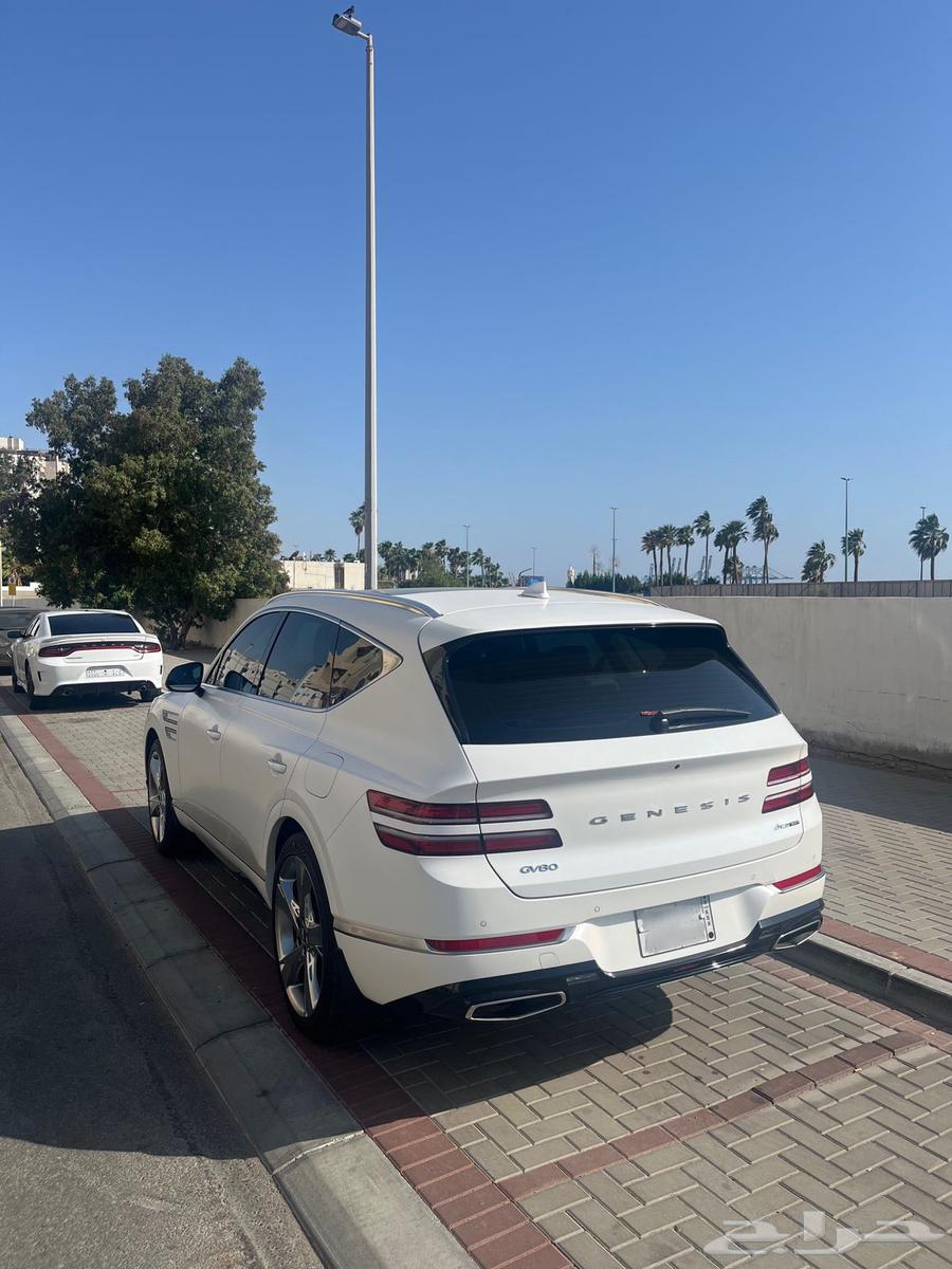 Genesis 2023 GV8063389137101827113