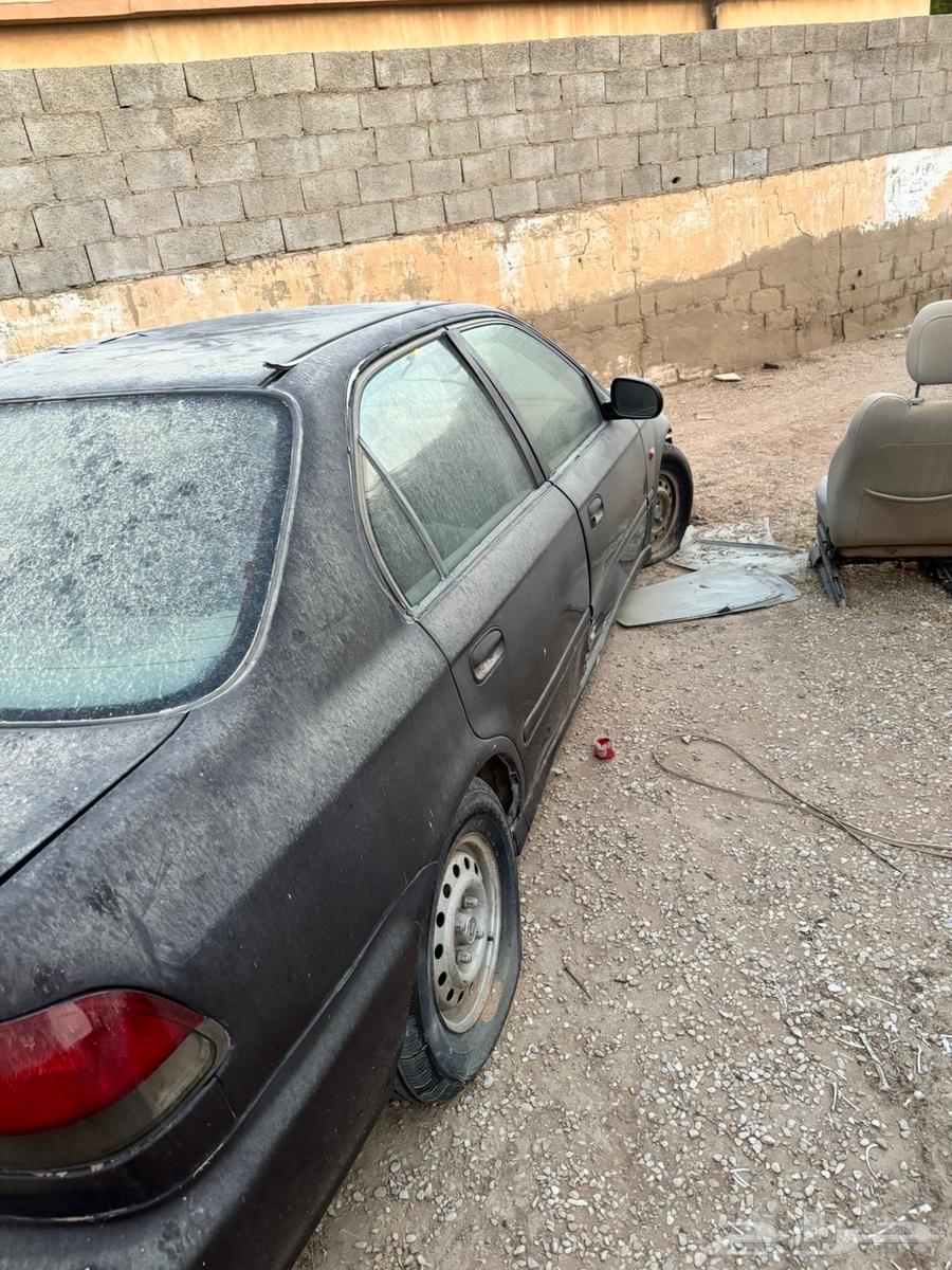 For sale Sufuk63388002356354112