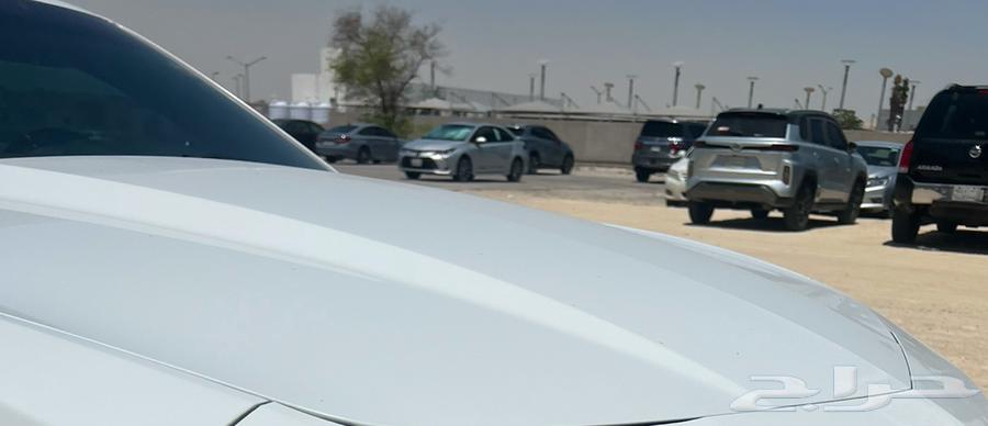 كبوت كمارو 10-1563386716504067111