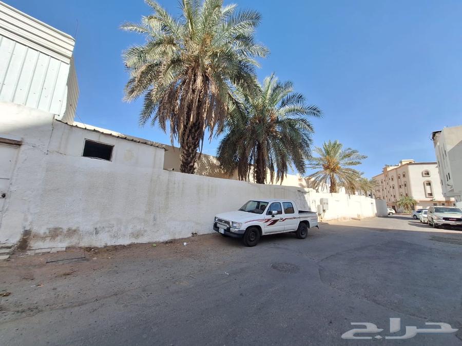 بيتين بصك واحد قريب من الحرم63381258387714111