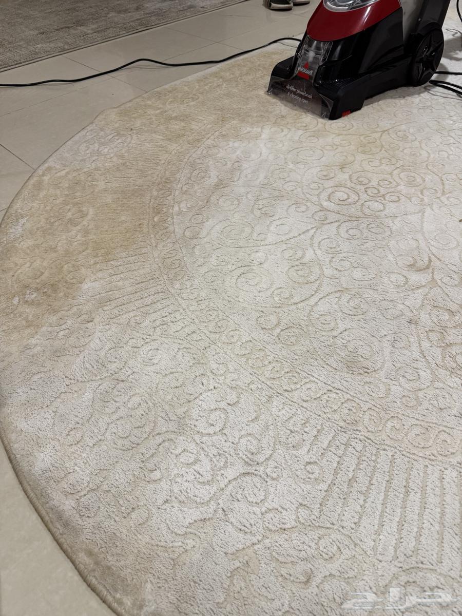 Rental of carpet and furniture cleaning vacuum63381376207875113