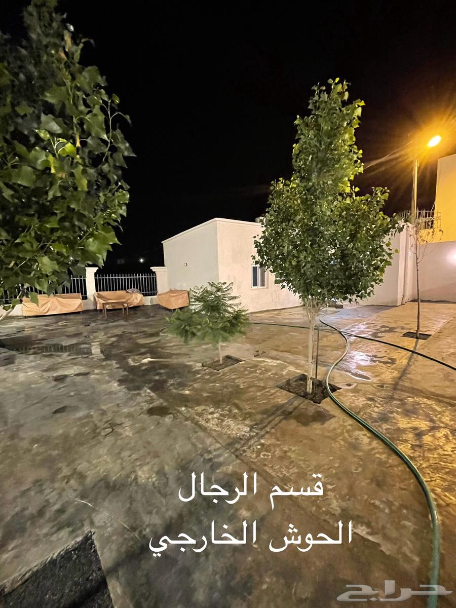 استراحة (moon light)63385658076290112