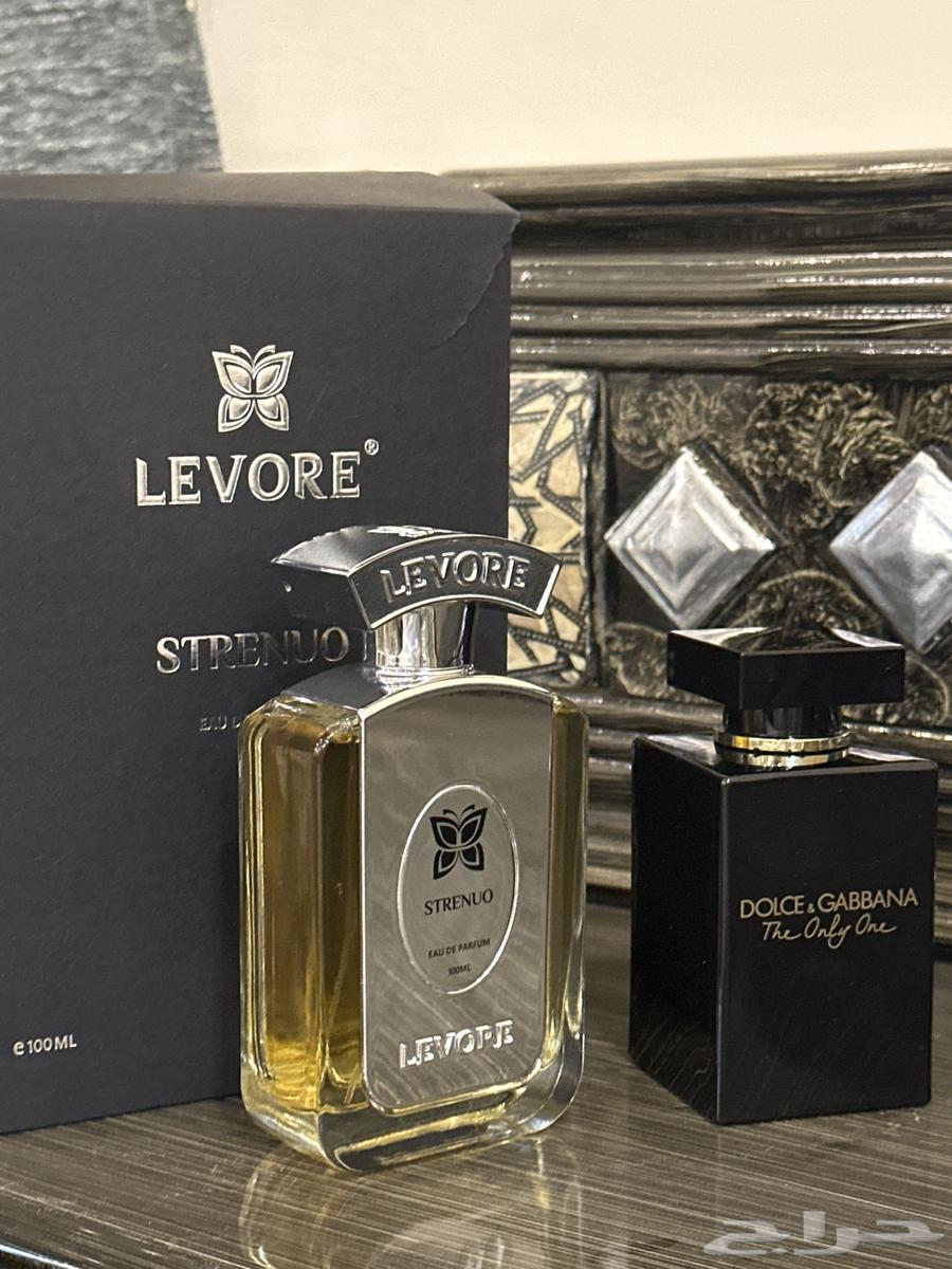 عطور - دولشي غابانا63384128221571110