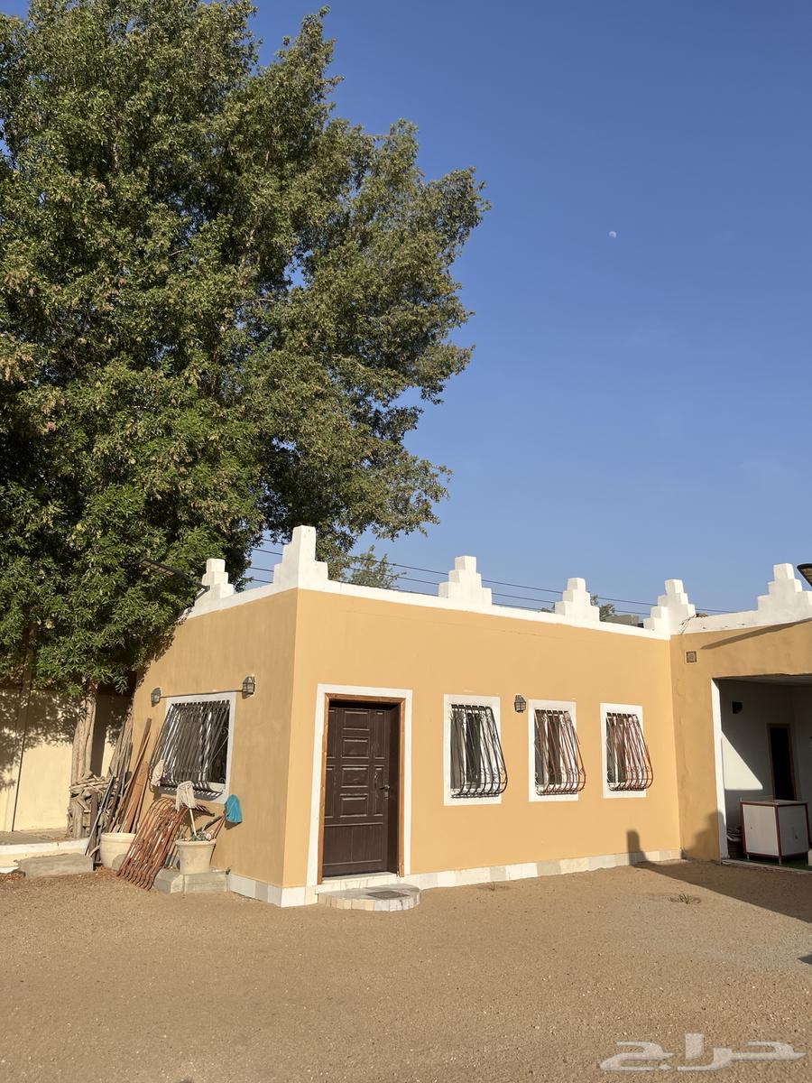 Annual rental rest area63381117420163113