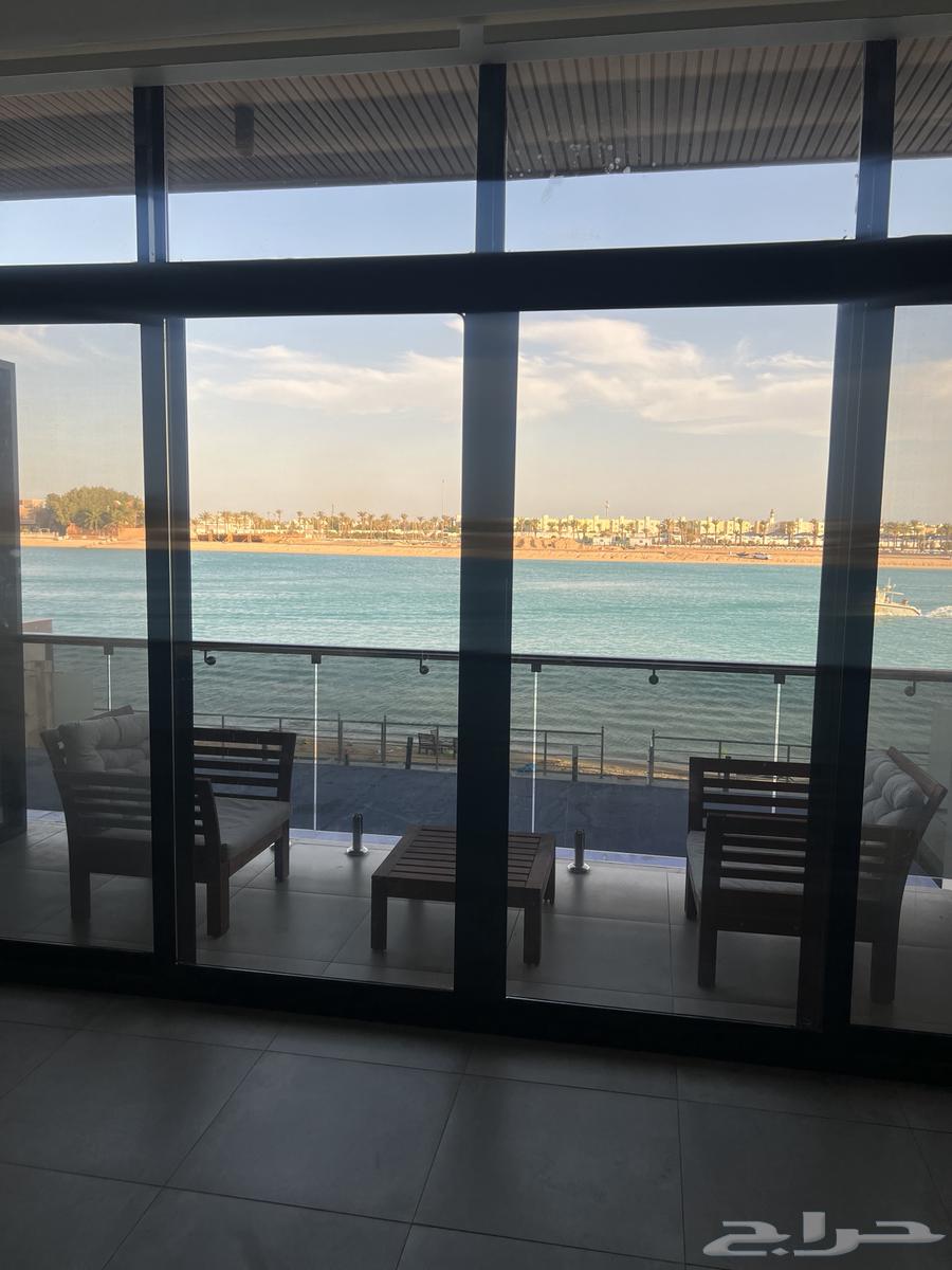 Villa Darat Al-Arous Al-Berdaise63381118329473112