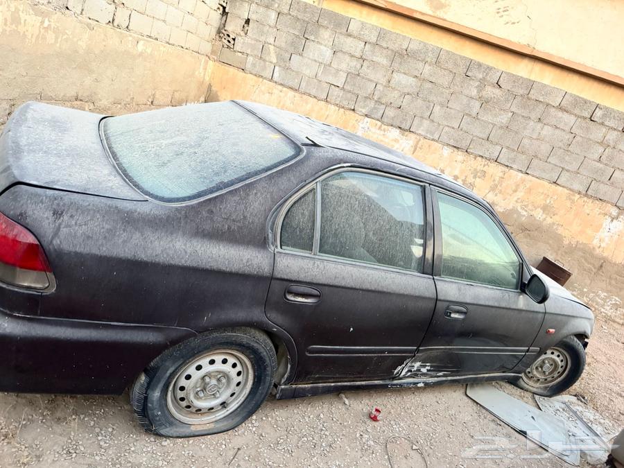 For sale Sufuk63388002356354114
