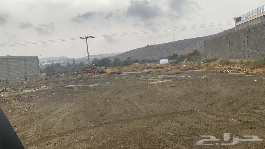 Land for sale in Abha63381159486978112