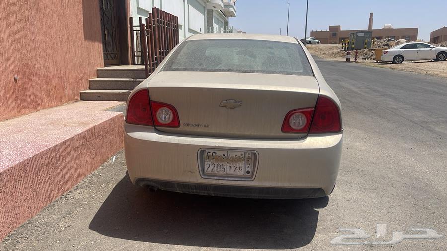 ماليبو 1263386853218819111