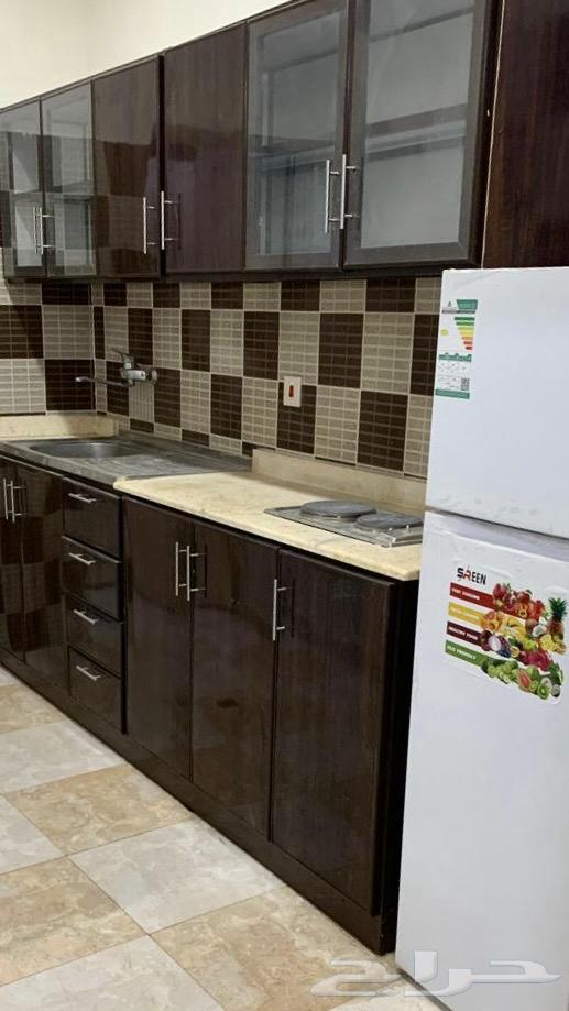 شقه للإيجار في الخرج63005765004290113