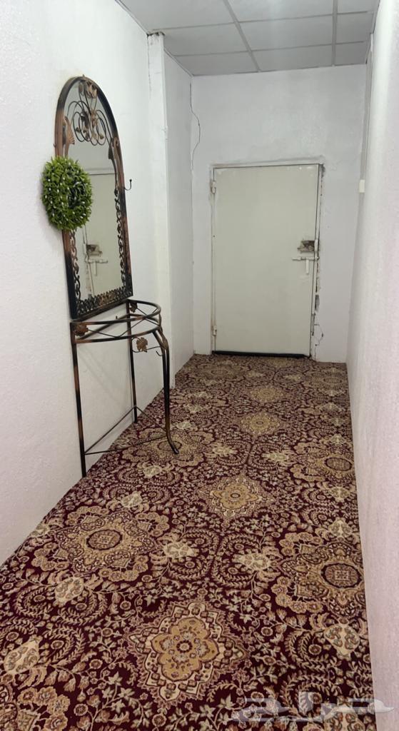 استراحة مؤثثه للإيجار اليوم والشهري63381258301059114