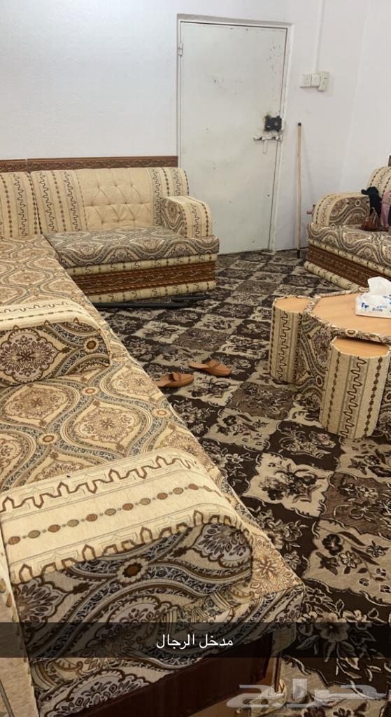 استراحة مؤثثه للإيجار اليوم والشهري63381258301059111