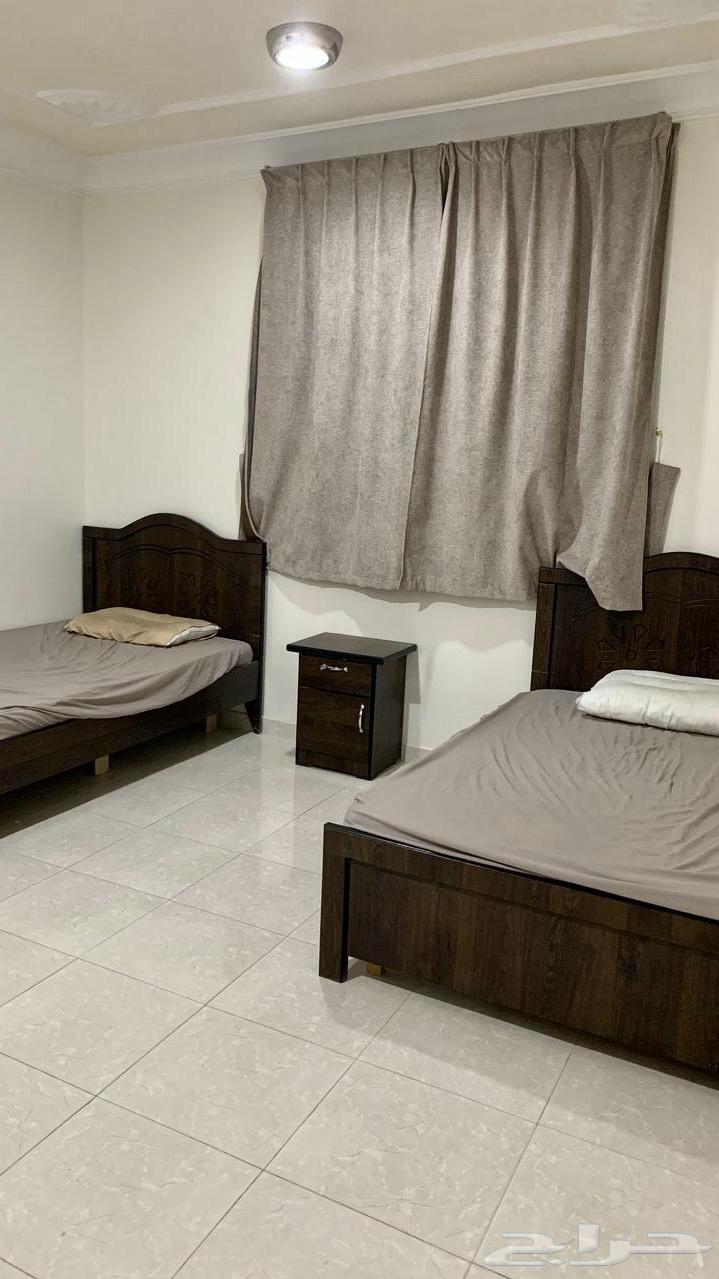 شقه للإيجار في الخرج63005765004290112