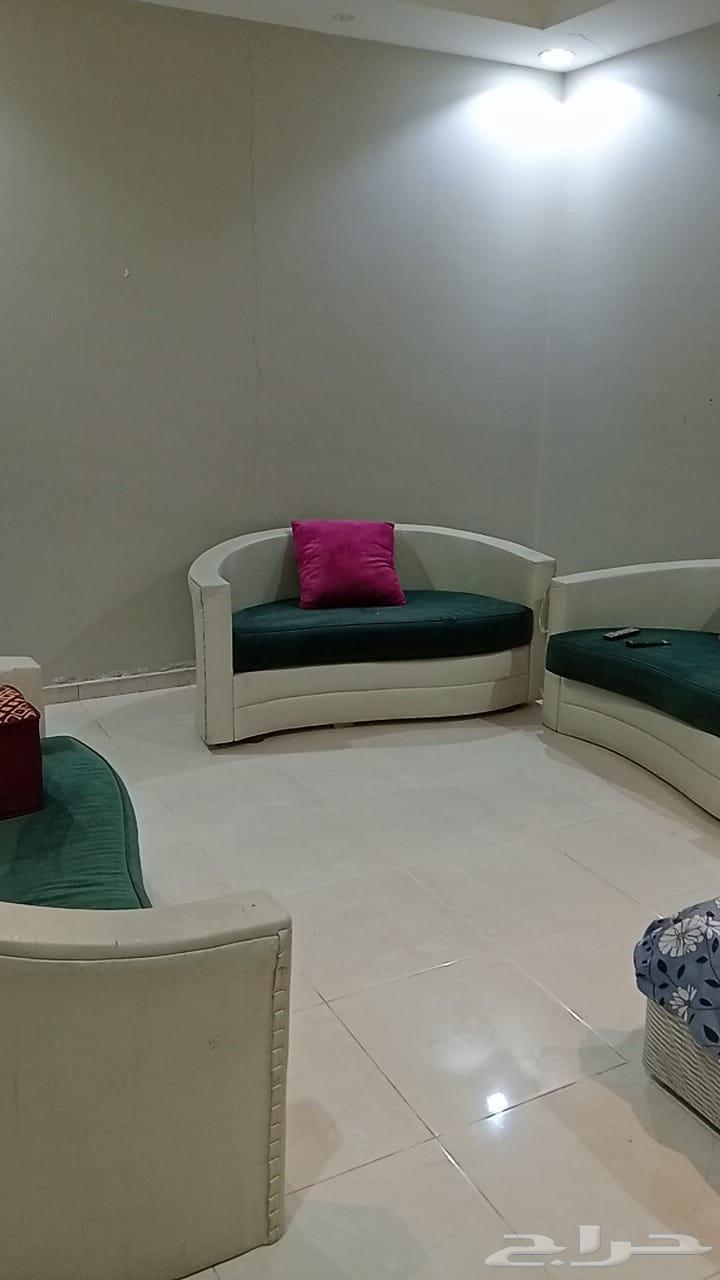 عمارة للإيجار