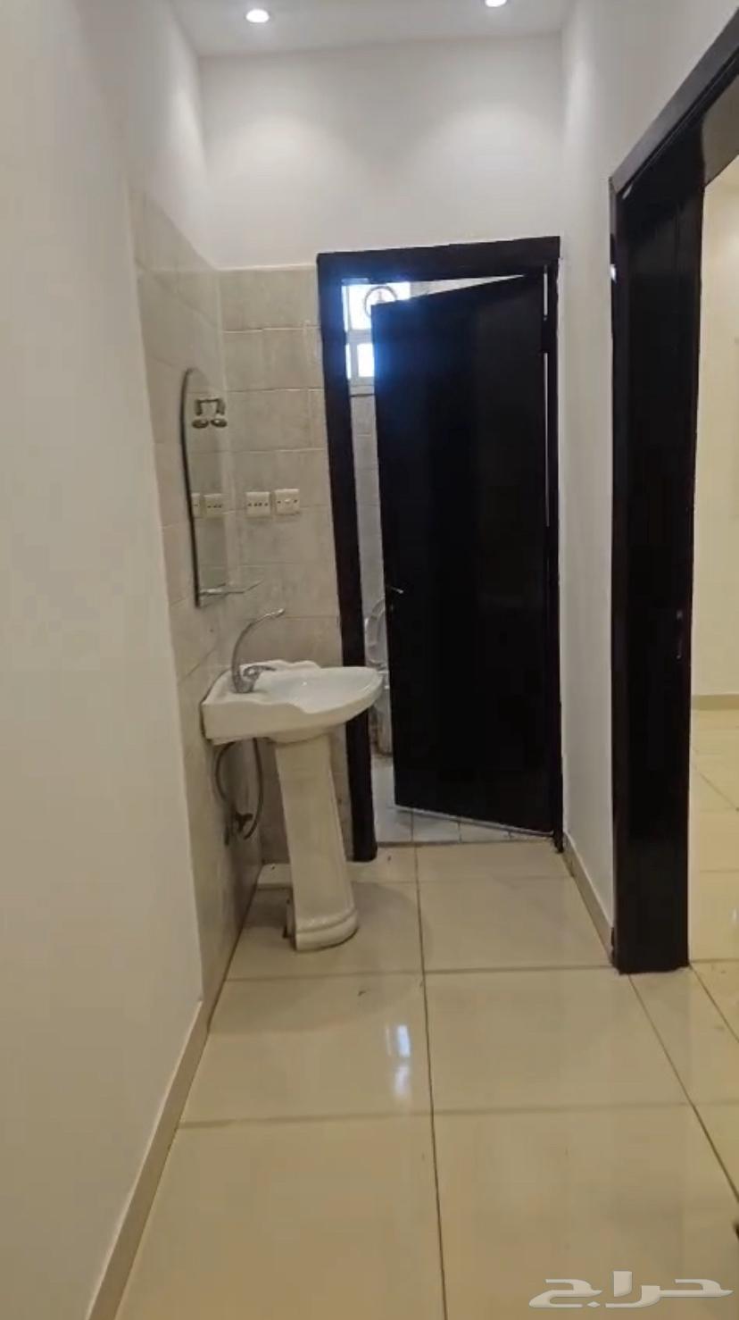 شقة في حى المونسية شارع البيان غرفه وصاله وركن مطبخ وحمام63381257915393111