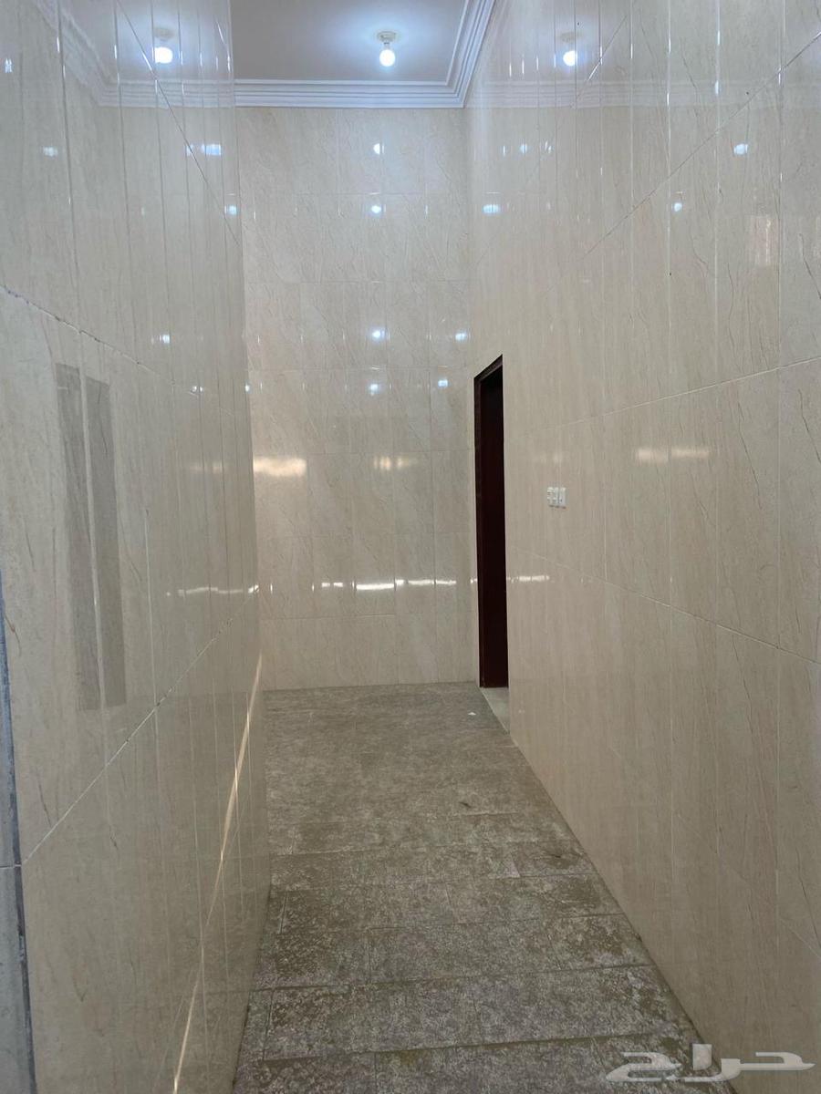 عماره شقق للايجار بالكامل الشقق63381258733569111