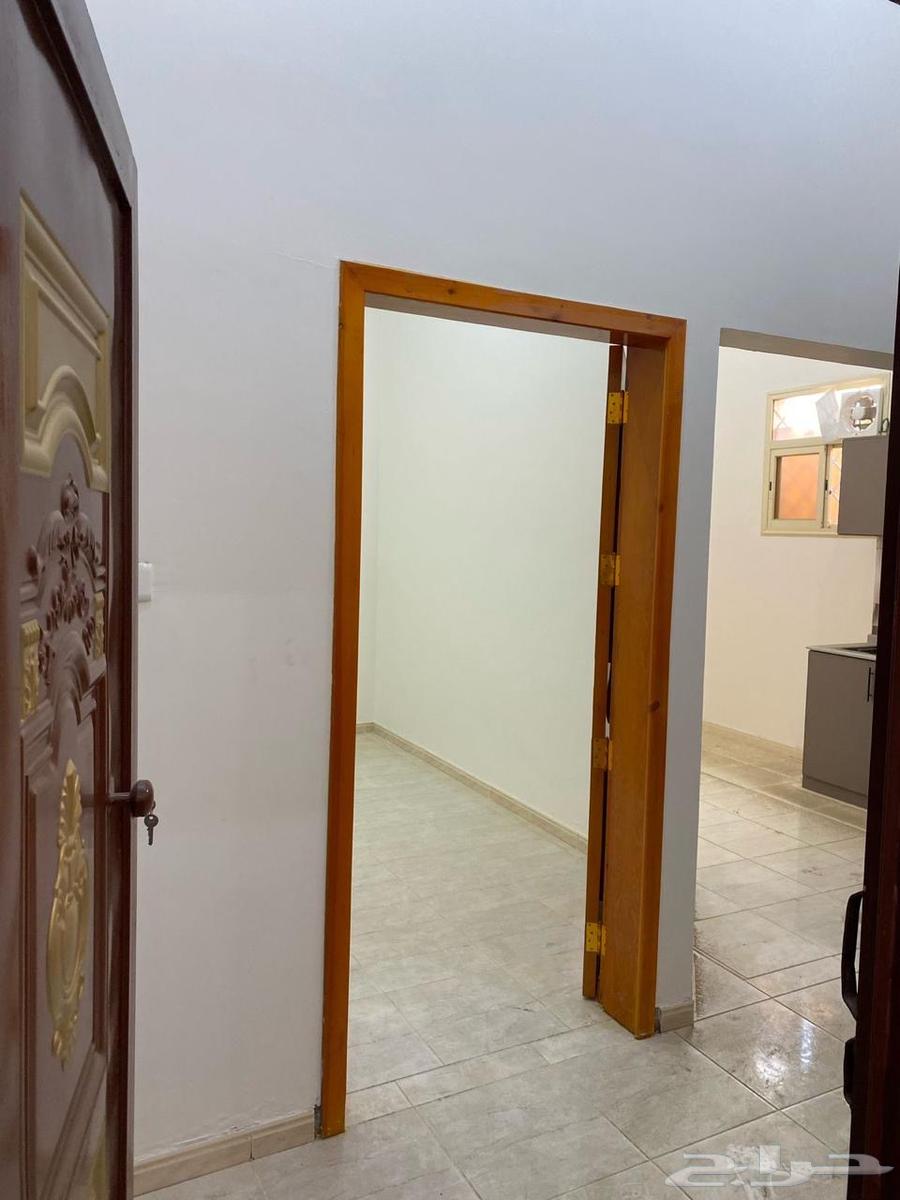 عماره شقق للايجار بالكامل الشقق63381258733569112