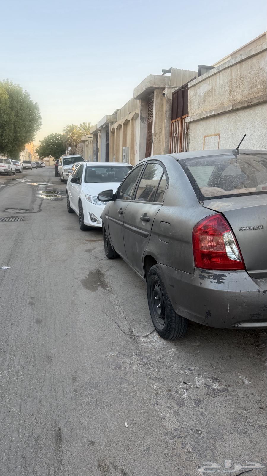اكسنت63617846359683112