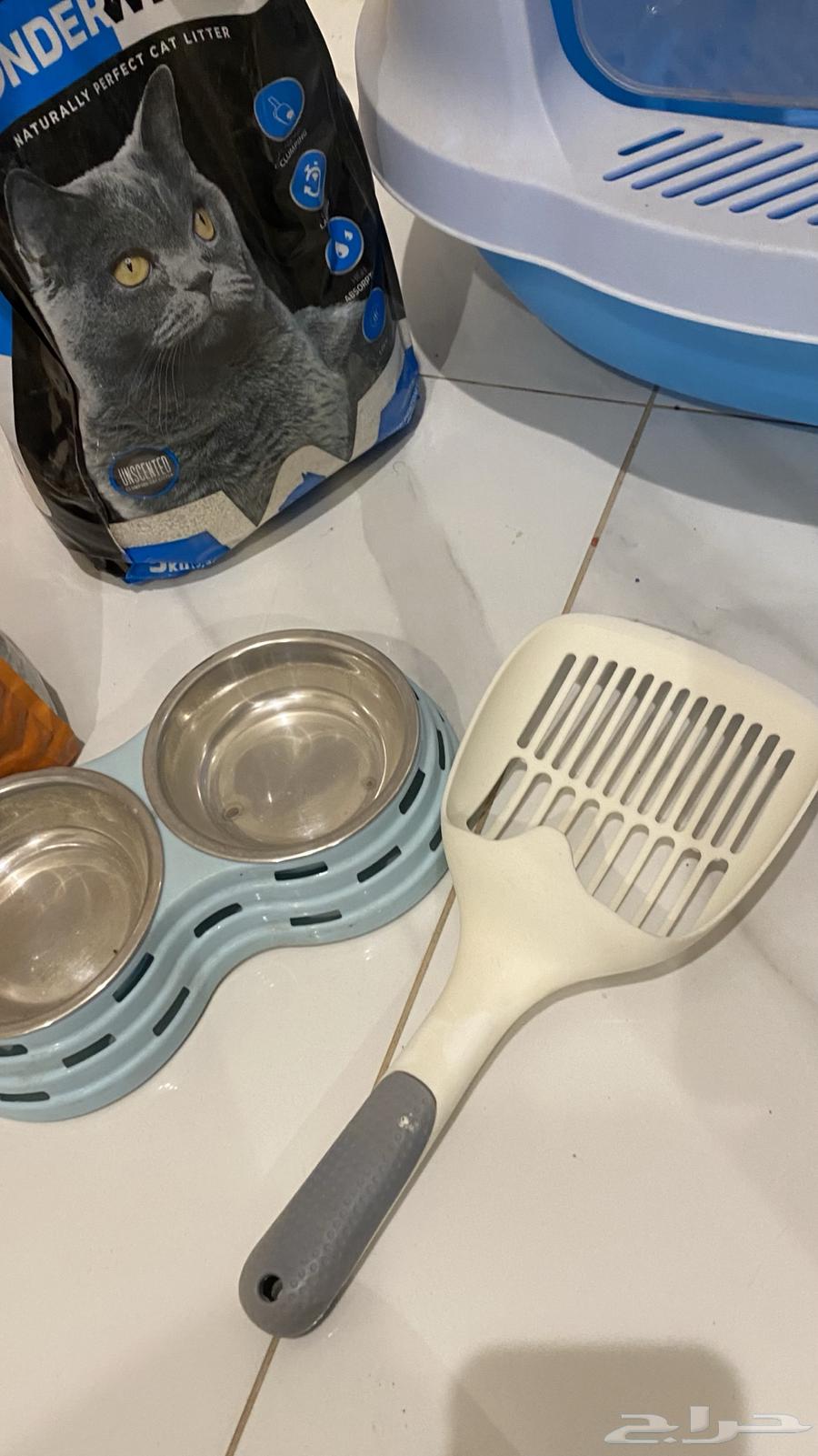 اغراض قطط63618295264385112