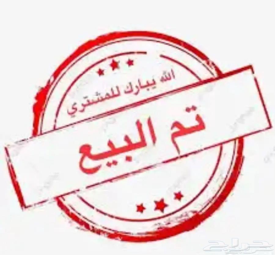 4 تيوس مخصيه63385605857409110