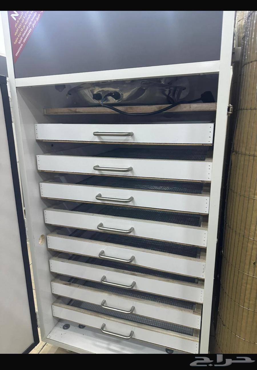 Incubator63315826731906110