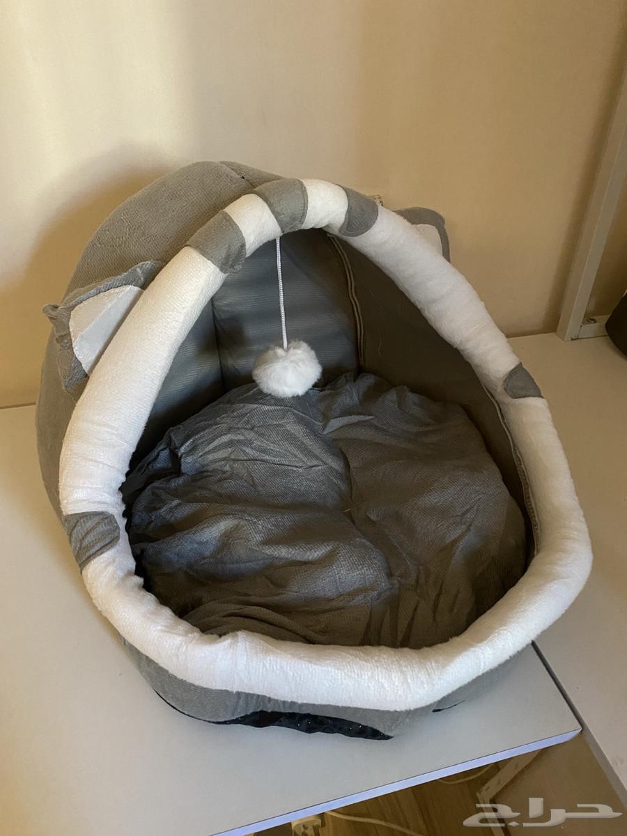 Cat House63381987334785110