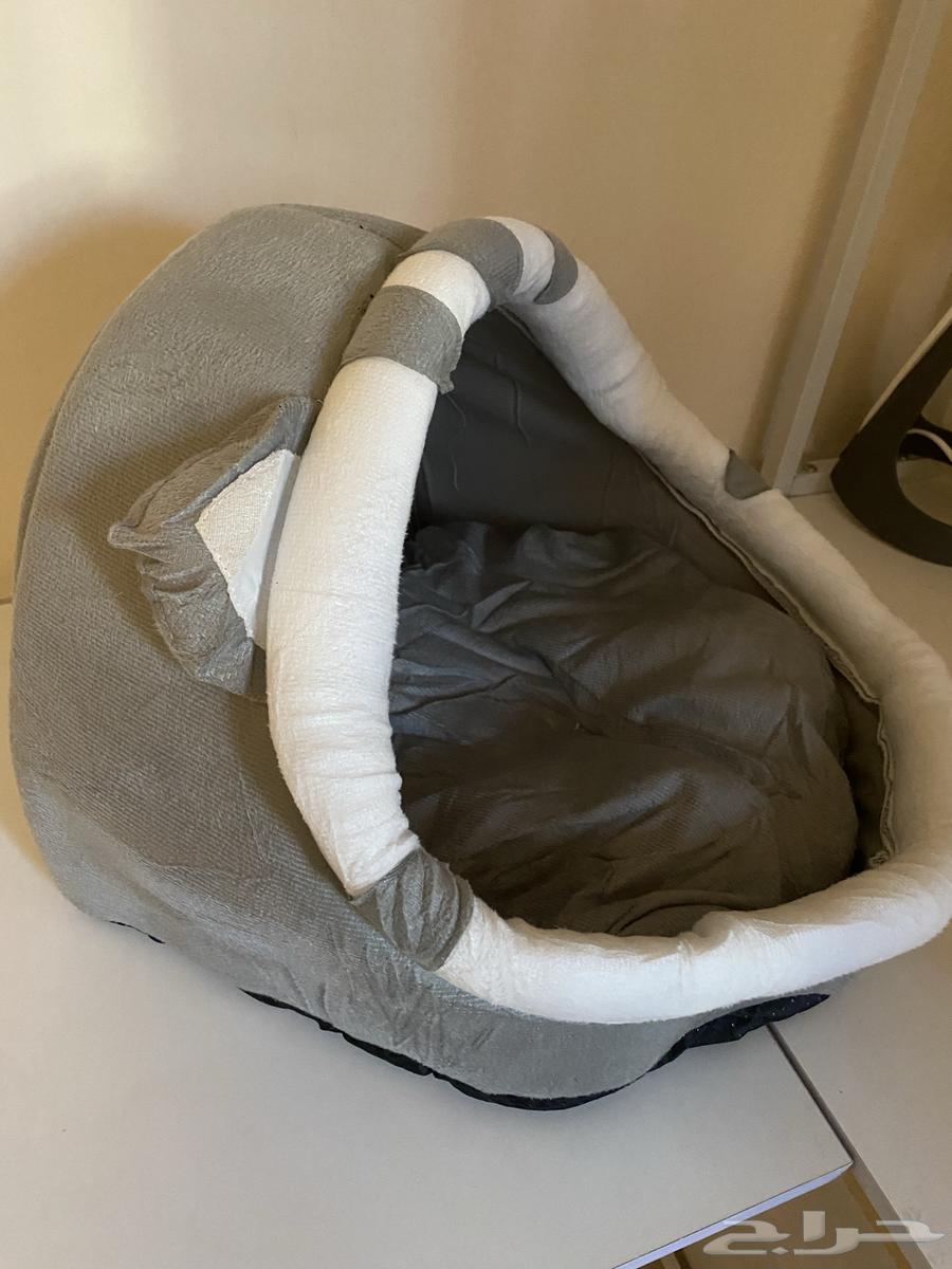 Cat House63381987334785111