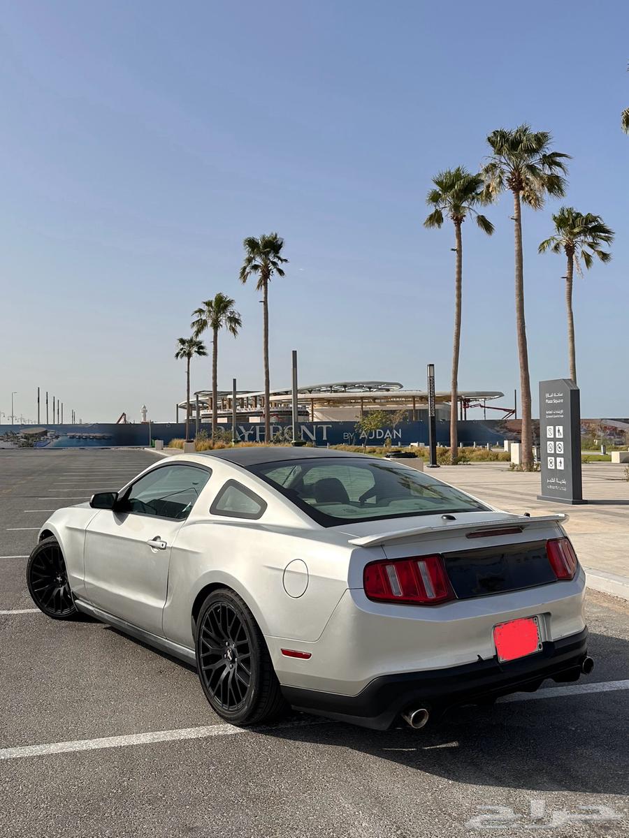 Ford Mustang 2010 v6 price reduced for quick sale63617856004994113