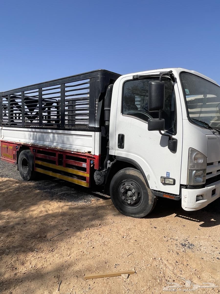 Dinah travel Tabarjal simple Al-Jouf and outside Al-Jouf to desert areas63611914757763110