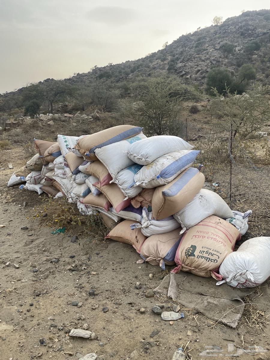 Fertilizer for sale63381712973057110