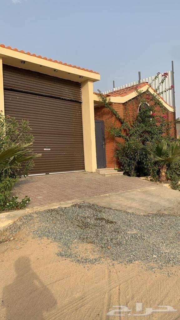 شاليه رواسي مسبحين وسط الاسبوع 450 الويكند 55063015212674433112