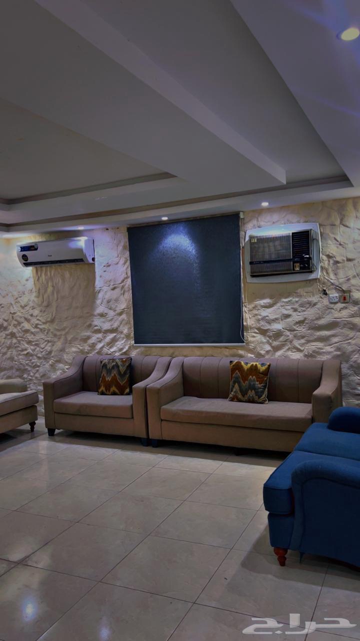 Daily rental lounge, only 500 SAR63381162430593111