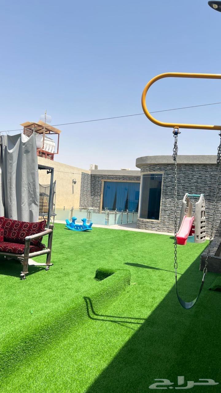 عرض الصيف 450 ريال وسط الاسبوع63381198355843113