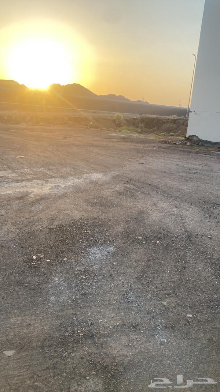Land for sale in T 863381163436289112