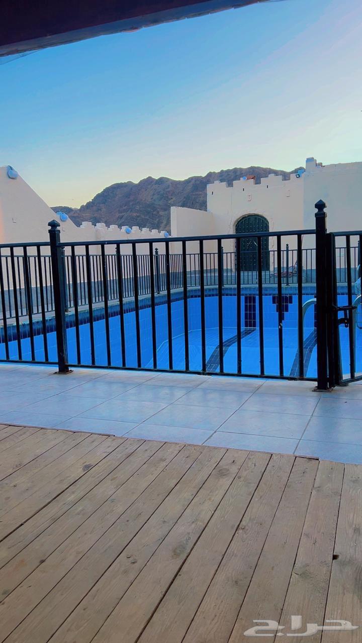 Daily rental lounge, only 500 SAR63381162430593112