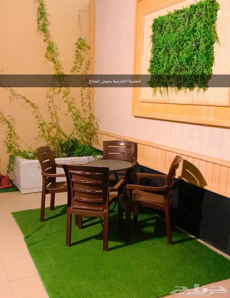 بابها شقة فاخره مفروشه الليلة ( 300 ريال) متاحة من 15 غسطس63381258559618112