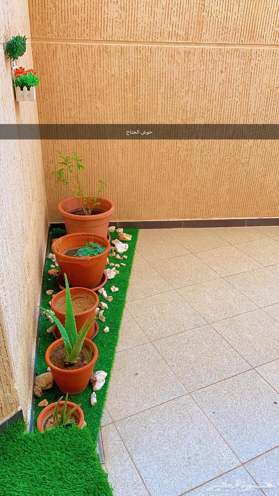 بابها شقة فاخره مفروشه الليلة ( 300 ريال) متاحة من 15 غسطس63381258559618111