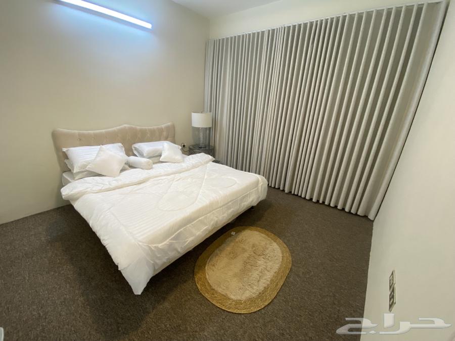Two rooms and a living room63381196629251111