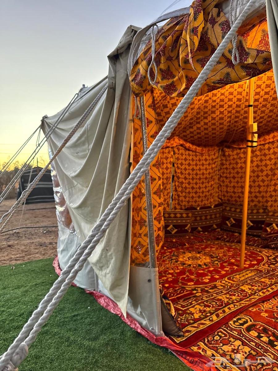 Ready-made camp project for sale or exchange for something suitable63026640860674114