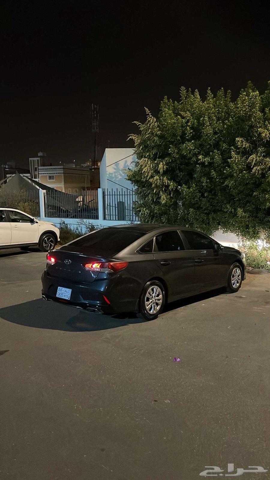 2019 Sonata for sale63617858217090111