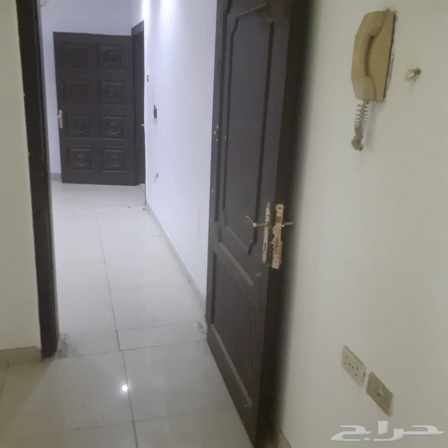 شقة للإيجار