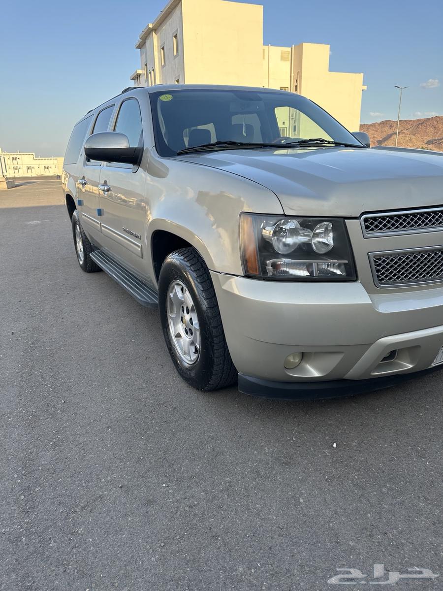 Super Ban 2011 LT63617975080705114