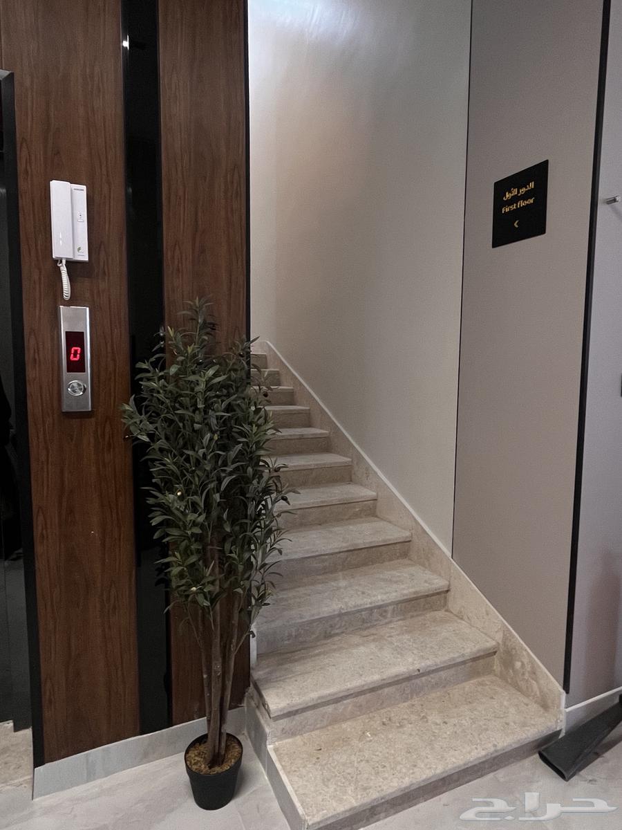 شقة للإيجار