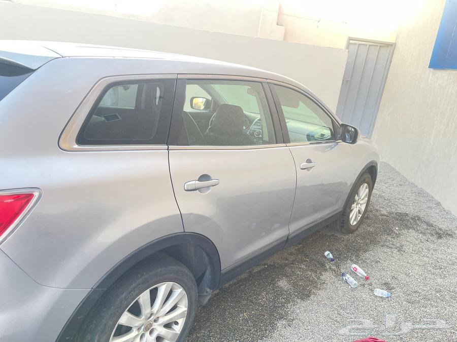 مازد63617966615554112