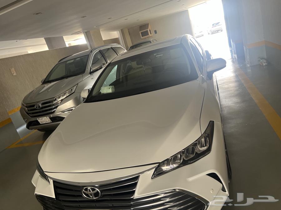 Avalon Turonq 202163617954839043112