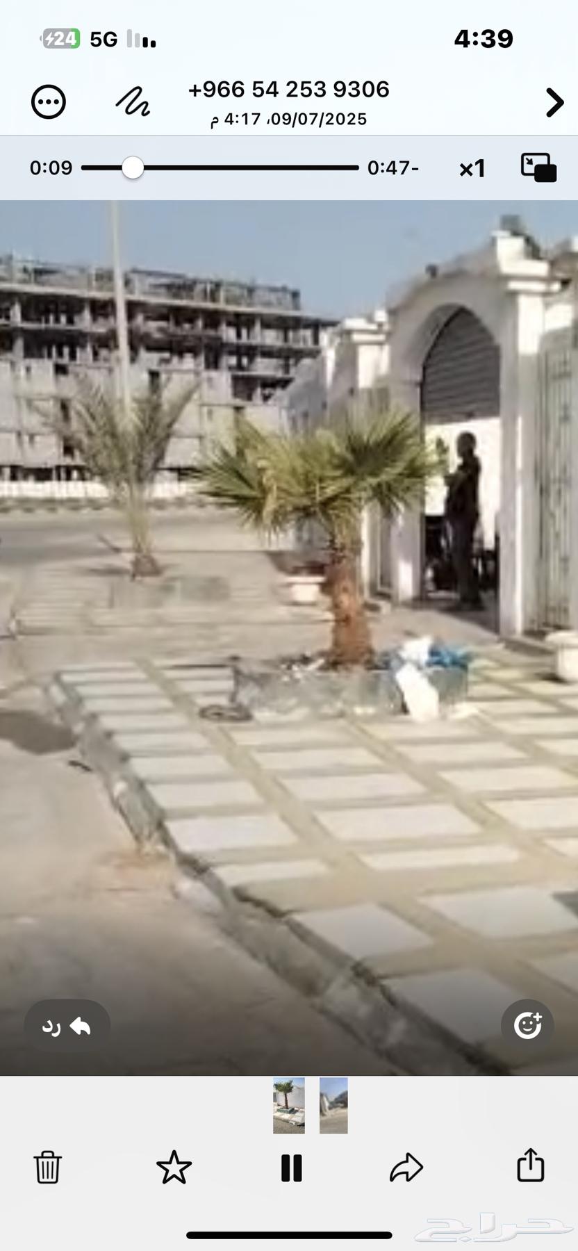 نخل للبيع63618475251457112