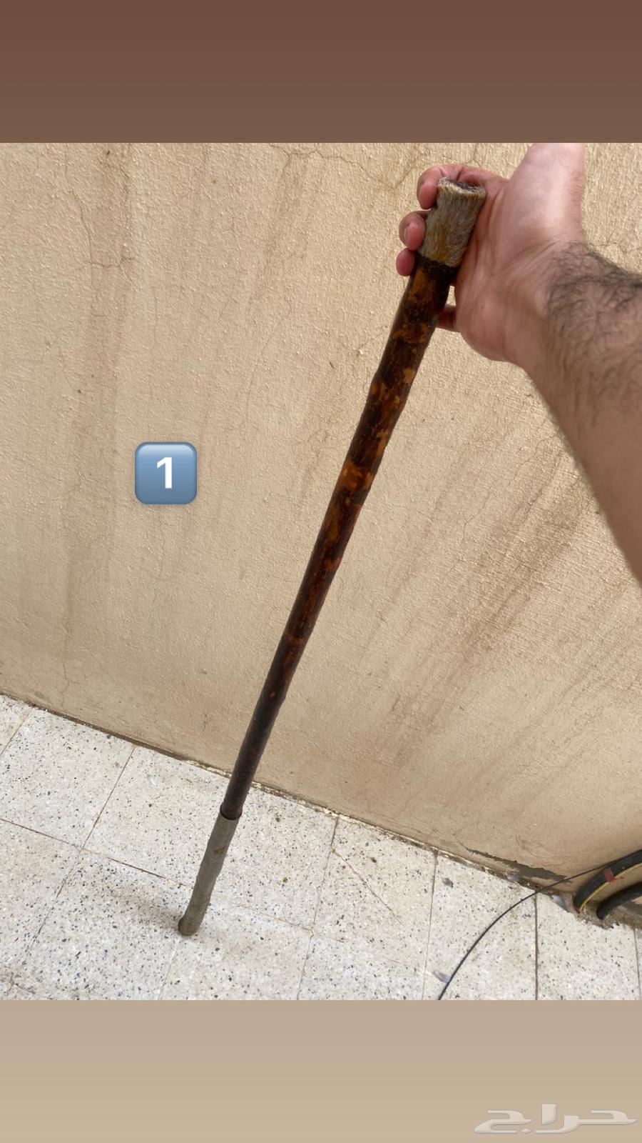 أعواد مزمار63618584136449113