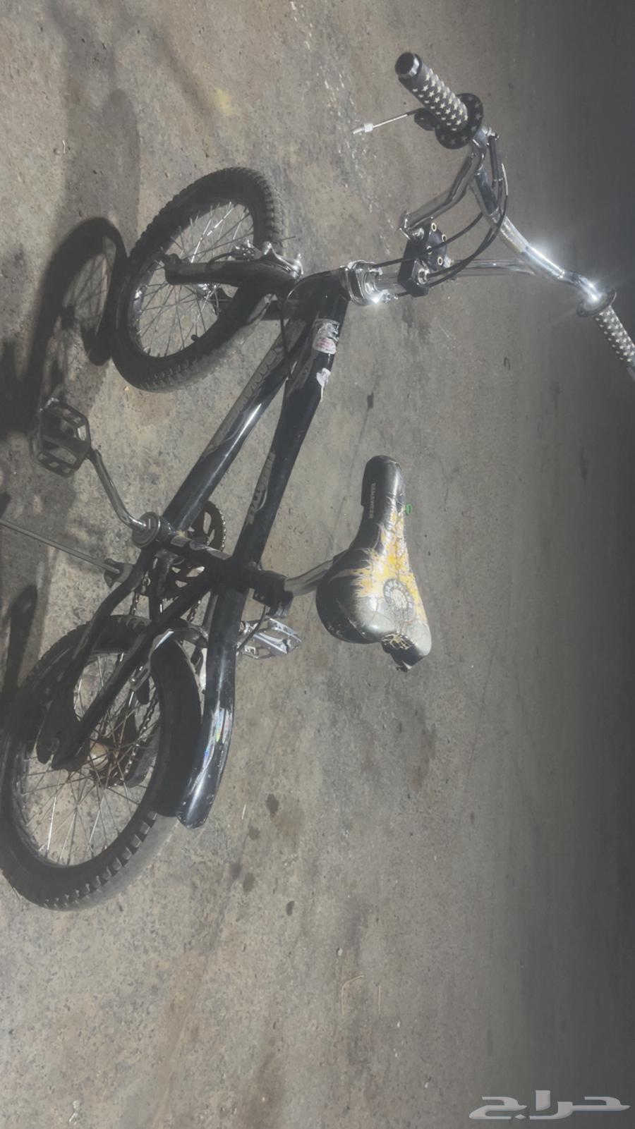 Cobra Cycle63618766430209111