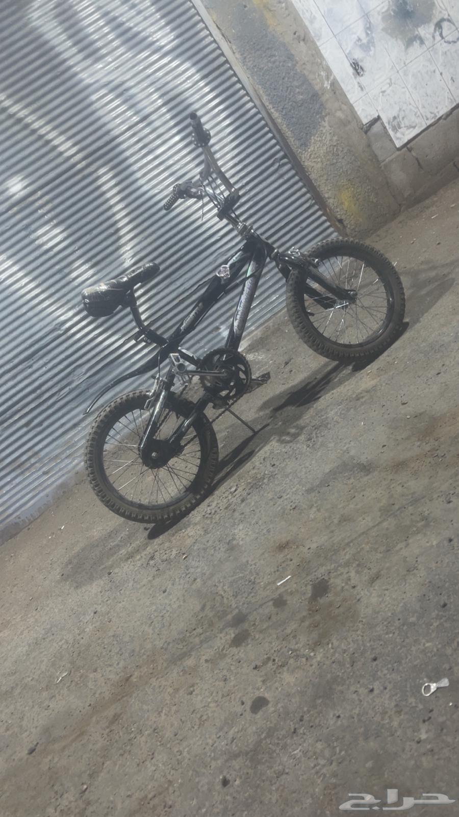 Cobra Cycle63618766430209112