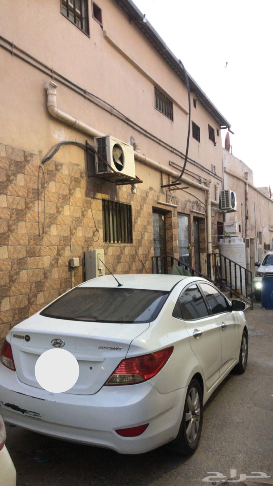 اكسنت للبيع 201263621064403841111